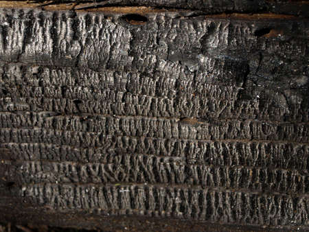 abstract picture with burnt wood texture, large wooden logの写真素材