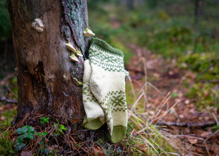 photography with knitted socks on a natural earth background, handicraft concept, knitting as a...