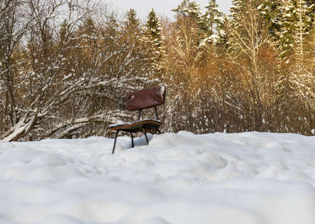 traditional winter landscape with snowy trees, white, snow-covered road, the magic of white winterの写真素材