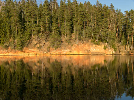 tree reflections in water, early spring landscapeの写真素材