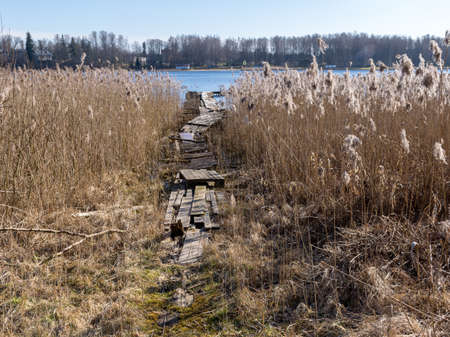 view of lake shore in early spring, picturesque old wooden footbridge, lots of dry reedsの写真素材