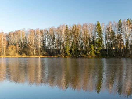 tree reflections in water, early spring landscapeの写真素材