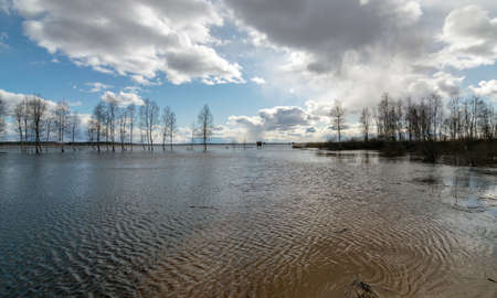 sunny landscape with lake, cloud glare in water, naked tree silhouettes in the distance