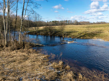 view from the bridge to the river in early spring, many fallen trees on the river bank, reflections of the sky in river waterの写真素材