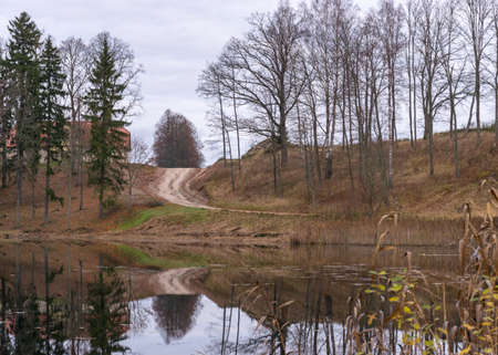 Opposite bank of lake in the autumn, cloudy sky, late autumn, bare tree silhouettes and reflections in the water, Latvian landscape in autumnの写真素材