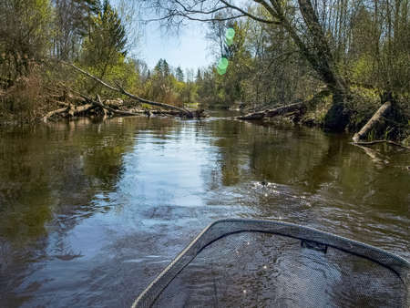 landscape with a small wild river bank, fallen tree trunks crossing the river, first spring...