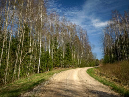 spring landscape with a simple country road, the first bright spring greenery, the first leaves in...
