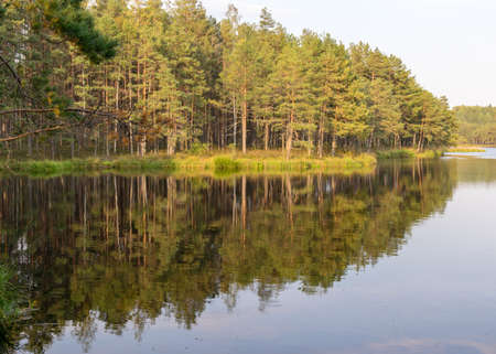 autumn landscape with a bog lake, tree reflections in the lake water, autumn time, Latviaの写真素材