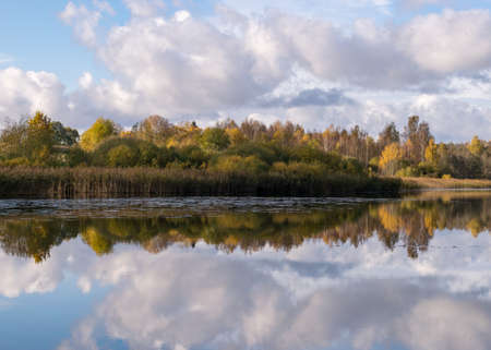 colorful autumn panoramas with yellow trees by the lake, beautiful and colorful reflections in the calm lake water, golden autumn, Tresais Ansis, Rubene, Latviaの写真素材