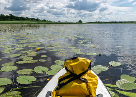 summer landscape with a river, in the foreground a sup board with a yellow, waterproof rubber bagの写真素材