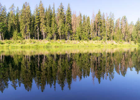 beautiful morning on the river, shore and tree reflections in the water, Gauja river, Latviaの写真素材