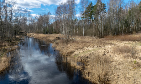 small river in early spring, blue sky and reflections in the water, sunny spring landscape, Seda...