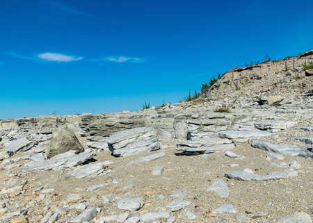 sunny summer landscape with limestone cliffs, Undva Cape, Tagamoisa Peninsula, Saaremaa Island, Estoniaの写真素材