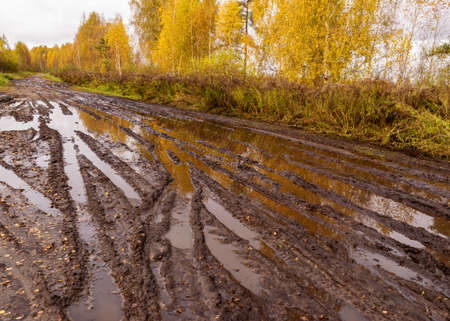 autumn landscape with muddy road, colorful trees on the side of the road, reflections in road puddles, autumn in Latviaの写真素材