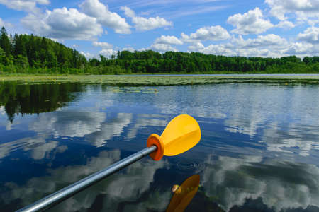 view of a small pond, green water lily leaves, reflections of clouds on the surface of the lake,...