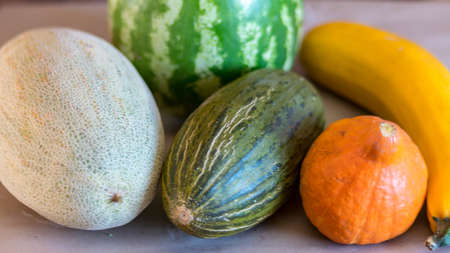 picture with pumpkin, zucchini, watermelon and melon, autumn harvest time, suitable for vegetarian dishes, vegetables for a healthy dietの写真素材
