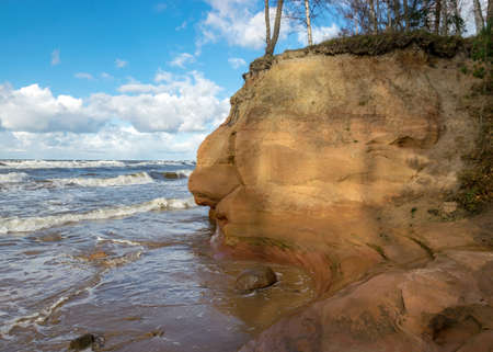 Sea view of the storm in the sea, tree silhouettes on the shore, waves, wind and autumn storm, stormy sea and beach panorama with coastal dunes, Veczemju cliffs, Salacgriva rural area, Latviaの写真素材