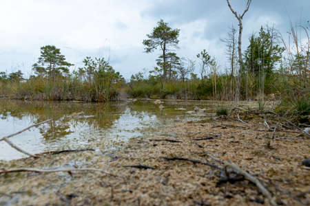 landscape with Sulfur Pond, which are water llamas formed on the periphery of a moss bog, they are...