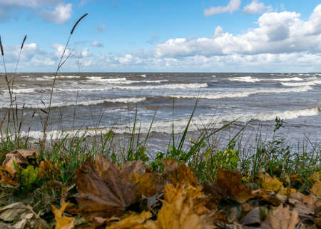 beautiful and sunny autumn seascape, waves crashing against the shore, foreground autumn leaves and grass backgroundの写真素材
