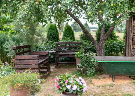 view of the garden in summer, various plants and flowers, the concept of gardening as a hobby,...