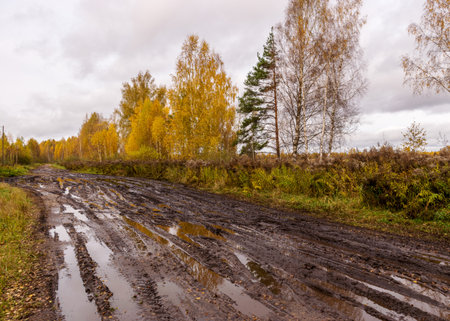 autumn landscape with muddy road, colorful trees on the side of the road, reflections in road puddles, autumn in Latviaの写真素材