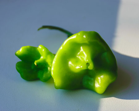 green bell peppers on the windowsill, different sizes, autumn harvest time, autumn nature
