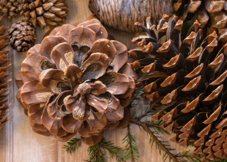 different shapes and types of cones in a wicker basket, preparing for Christmas, waiting for...