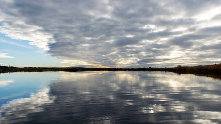 summer landscape with a lake