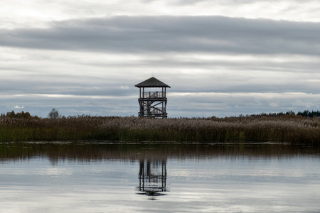 summer landscape with a lakeの写真素材