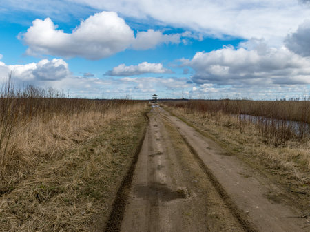spring landscape with dirt road and bird watching tower in the backgroundの写真素材
