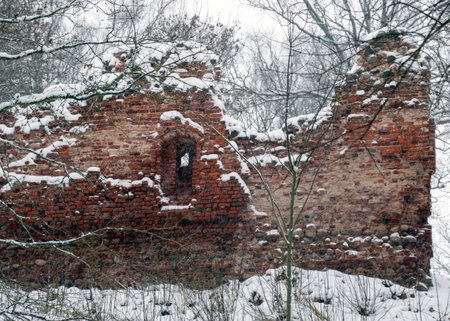 gray foggy winter landscape, falling snow blurred background, old red brick wall, monochrome landscapeの写真素材