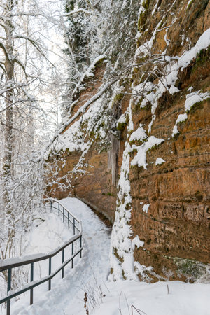 Cold winter day in the forest. Landscape with frozen plants, trees and red sandstone rock wall, Red Cliffs, CÄsis, Latviaの写真素材
