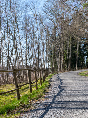 landscape with a simple road, early spring, roadside wooden fenceの写真素材