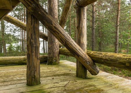 landscape with a wooden construction walking bridge in the middle of the swamp. View of the beautiful nature in the swamp - a pond, conifers, moss, clouds and reflections in the water. typical West-Estonian swamp, Nigula Nature Reserveの写真素材