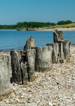 sunny landscape with rocky sea shore and old wooden piles, Baltic sea shore, Saaremaa, Sorves peninsula, Estoniaの写真素材
