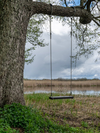 landscape with a picnic place on the lake shore, swing equipment in a tree branch, beautiful view of...