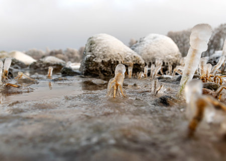 various ice formations on rocks and sandbars on the seashore, ice texture, wind, water and ice working together, winter by the seaの写真素材