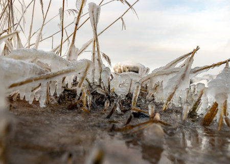 various ice formations on rocks and sandbars on the seashore, ice texture, wind, water and ice working together, winter by the seaの写真素材