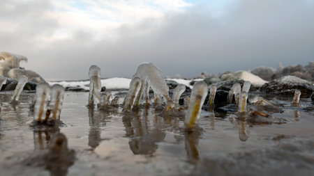 various ice formations on rocks and sandbars on the seashore, ice texture, wind, water and ice...