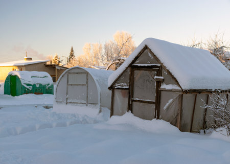 white winter landscape with greenhouses covered with snow, simple garden in winter under snow cover, Latviaの写真素材