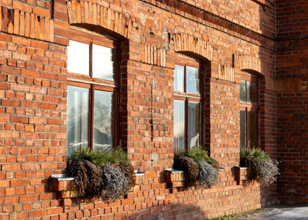 view of the window of a red brick house, dry plant decorations by the window, winter