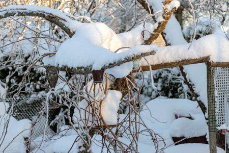 white winter landscape with garden attributes covered with snow, simple garden in winter under snow...