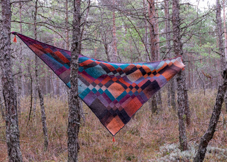 beautiful knitted scarf set in bog pine branches, bog background, scarf knitted entralact style,...