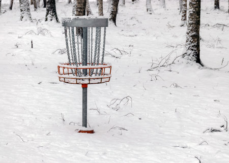 disc golf cart in birch grove, snow blanket covers tree and shrub branches, foggy and grainy snowfall backgroundの写真素材