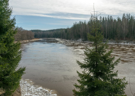 view of the river in early spring, ice cubes in the water, river bank from the opposite bank, river...