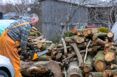 man in yellow rubber pants prepares firewood, sawing firewood, heating concept, energy crisis,...