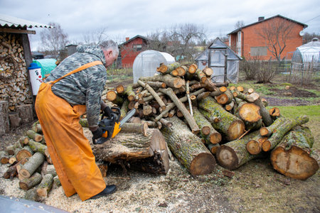 man in yellow rubber pants prepares firewood, sawing firewood, heating concept, energy crisis, firewood cuttingの写真素材