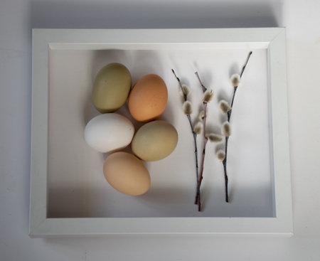 still life with simple chicken eggs, soft pastel colors, natural color chicken eggs, eggs in a white...
