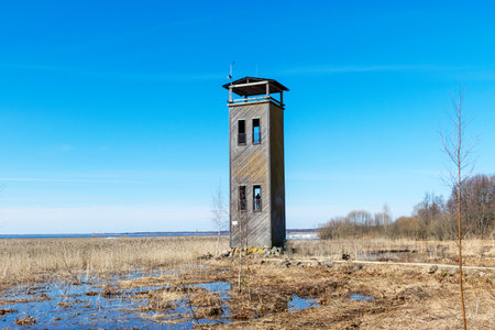 spring landscape with lake view, wooden lookout tower, Lake VÃµrtsjÃ¤rv is Estonia's largest inland body of water.の写真素材