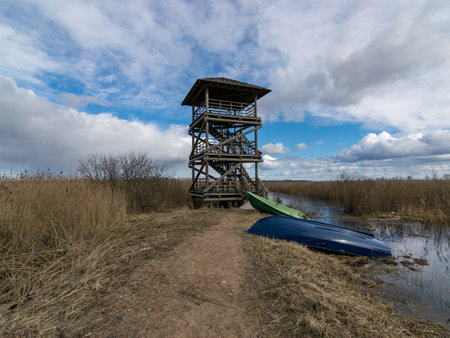 spring landscape with dirt road and bird watching tower in the backgroundの写真素材